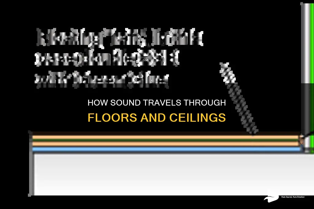 does ultra sound go thru floors