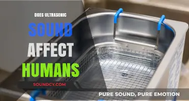 Ultrasonic Sound Effects on Humans: Myths, Facts, and Potential Risks