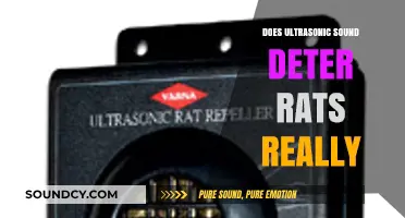 Ultrasonic Sound: Effective Rat Deterrent or Myth?