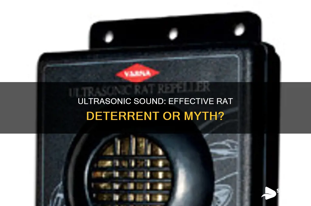 does ultrasonic sound deter rats really