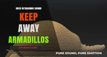 How Ultrasonic Sound Repels Armadillos