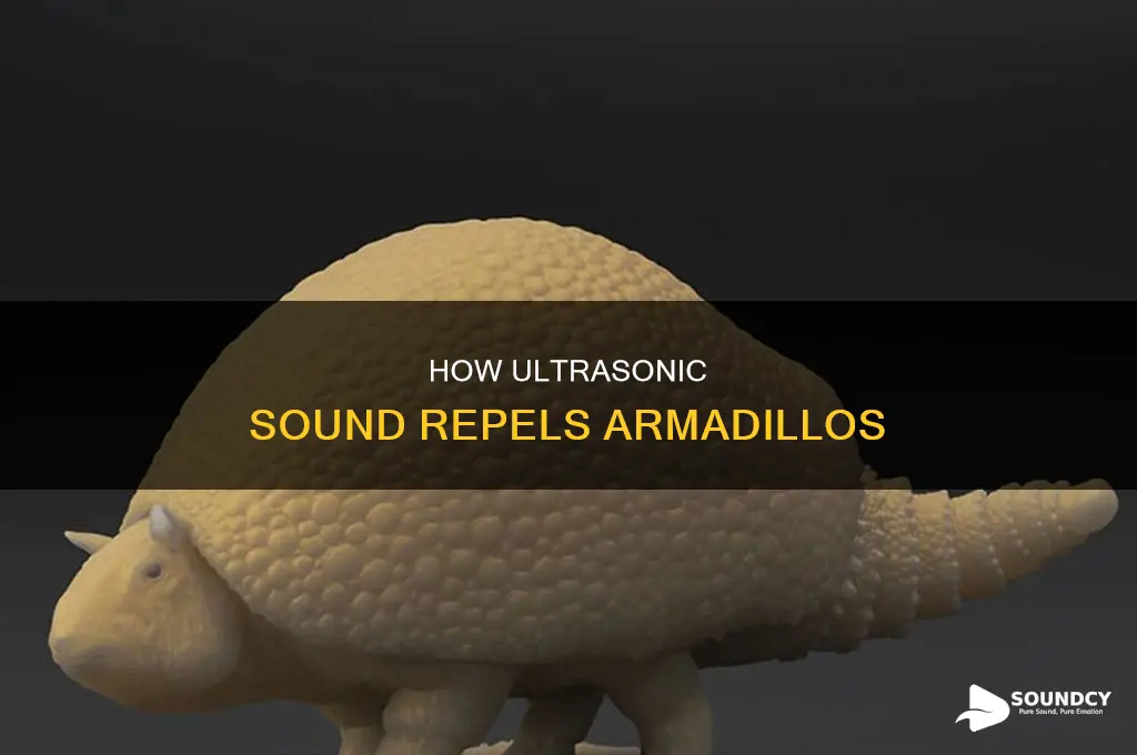 does ultrasonic sound keep away armadillos