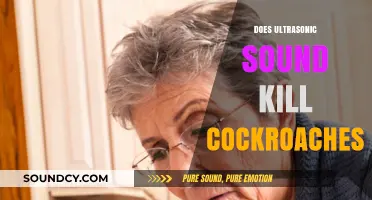 Can Ultrasonic Devices Effectively Eliminate Cockroaches in Your Home?