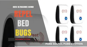 Ultrasonic Sound: Effective Bed Bug Repellent?