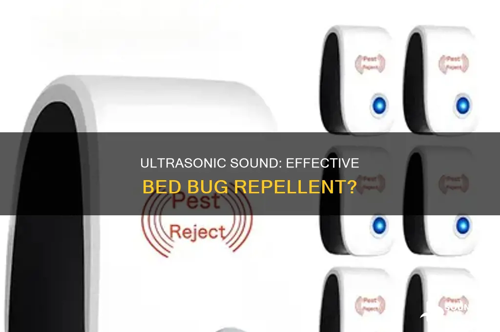 does ultrasonic sound repel bed bugs