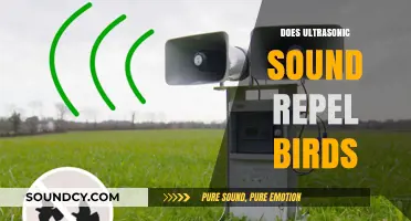 Can Ultrasonic Devices Effectively Deter Birds? Exploring the Science
