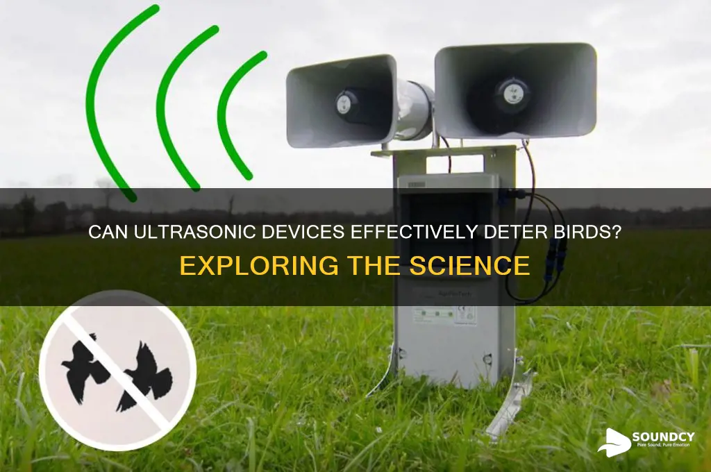 does ultrasonic sound repel birds