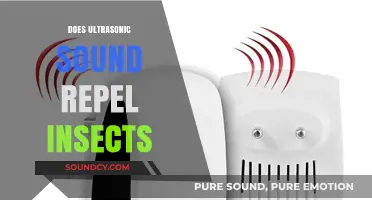 Can Ultrasonic Devices Effectively Repel Insects? Exploring the Science