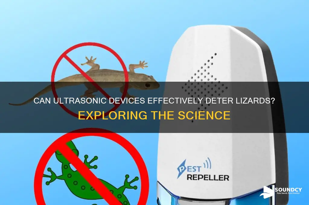 does ultrasonic sound repel lizards