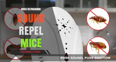 Ultrasonic Mouse Repellents: Do They Really Keep Rodents Away?