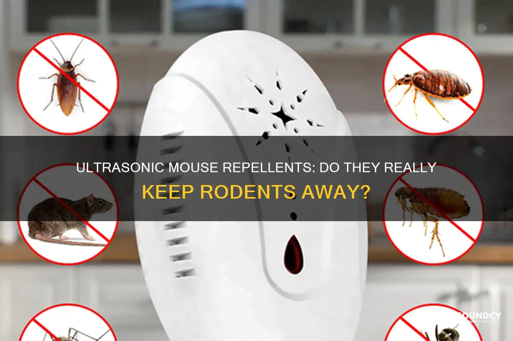 does ultrasonic sound repel mice