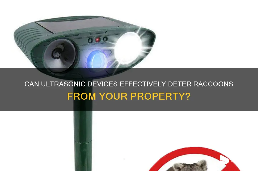 does ultrasonic sound repel raccoons