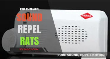 Ultrasonic Rat Repellents: Effective Solution or Just a Myth?