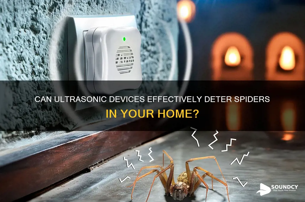 does ultrasonic sound repel spiders