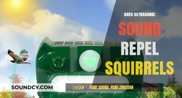 Ultrasonic Squirrel Repellents: Effective Solution or Just a Myth?