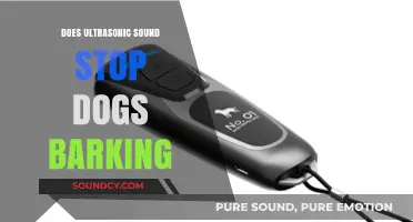 Ultrasonic Sounds: A Solution to Stop Dog Barking?