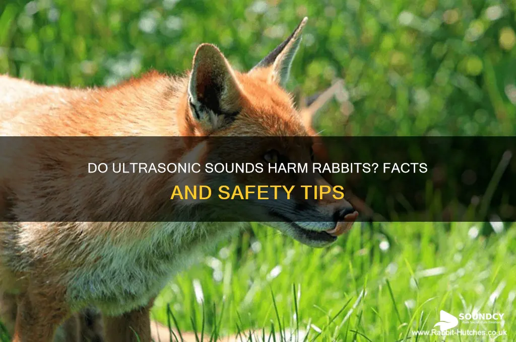 does ultrasonice sounds bother rabbits