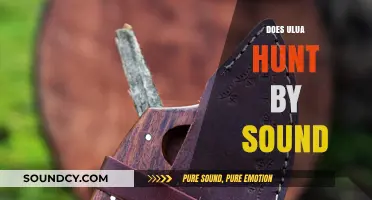 Does Ulua Hunt by Sound? Unveiling the Predator's Acoustic Strategies