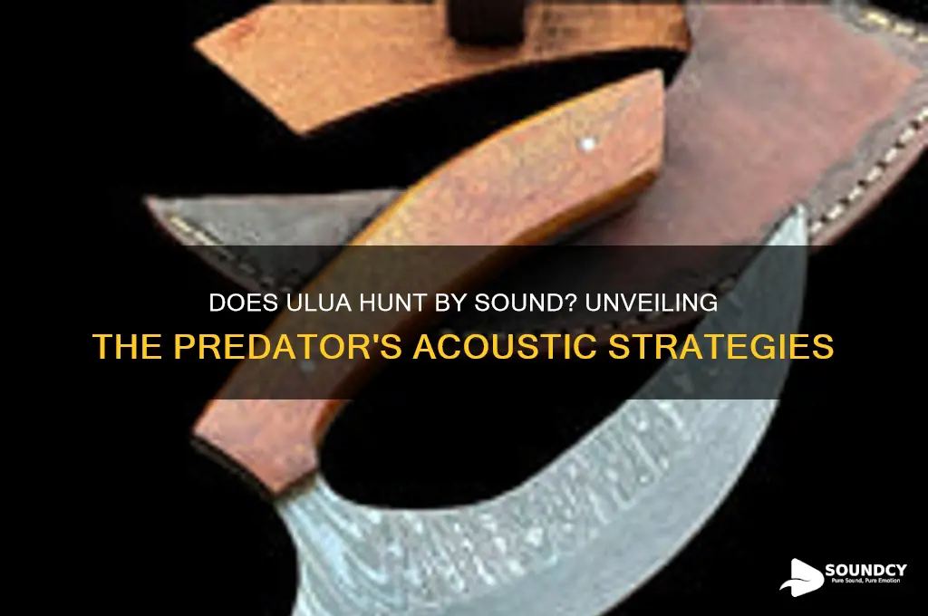 does ulua hunt by sound