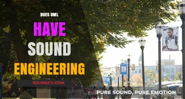 Exploring UML's Role in Modern Sound Engineering Applications