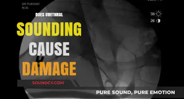 Urethral Sounding Risks: Potential Damage and Safety Concerns Explored