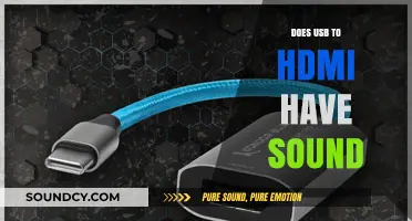 USB to HDMI: Can You Get Sound?