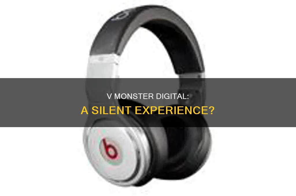 does v monster digital have sound