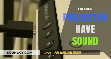 Does Vankyo Projector Have Sound? Exploring Audio Features and Quality