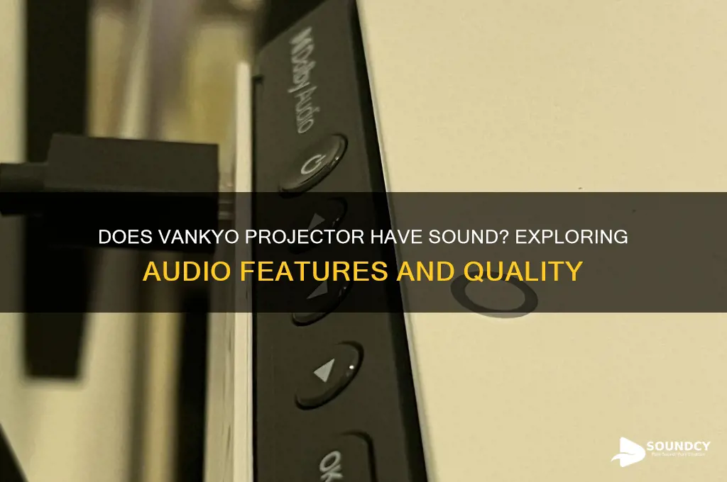 does vankyo projector have sound