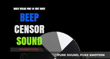 Vegas Pro 14 Editing: Beep Censor Sound Feature Explained