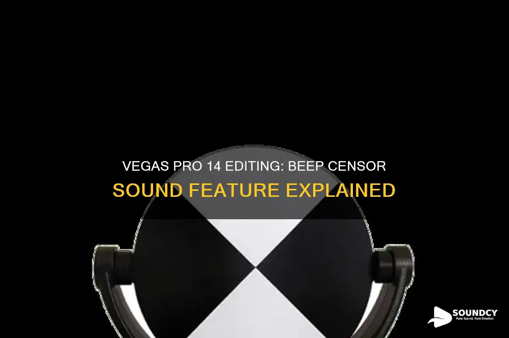 does vegas pro 14 edit have beep censor sound