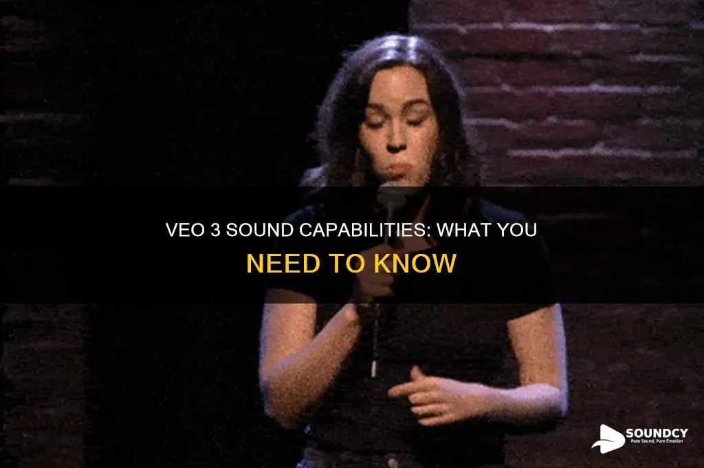 does veo 3 have sound