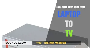 Can VGA Cables Transmit Audio from Laptop to TV?
