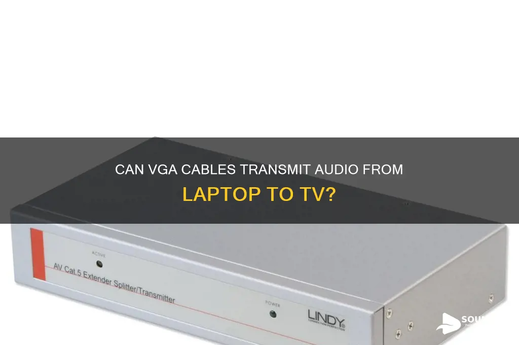 does vga cable carry sound from laptop to tv
