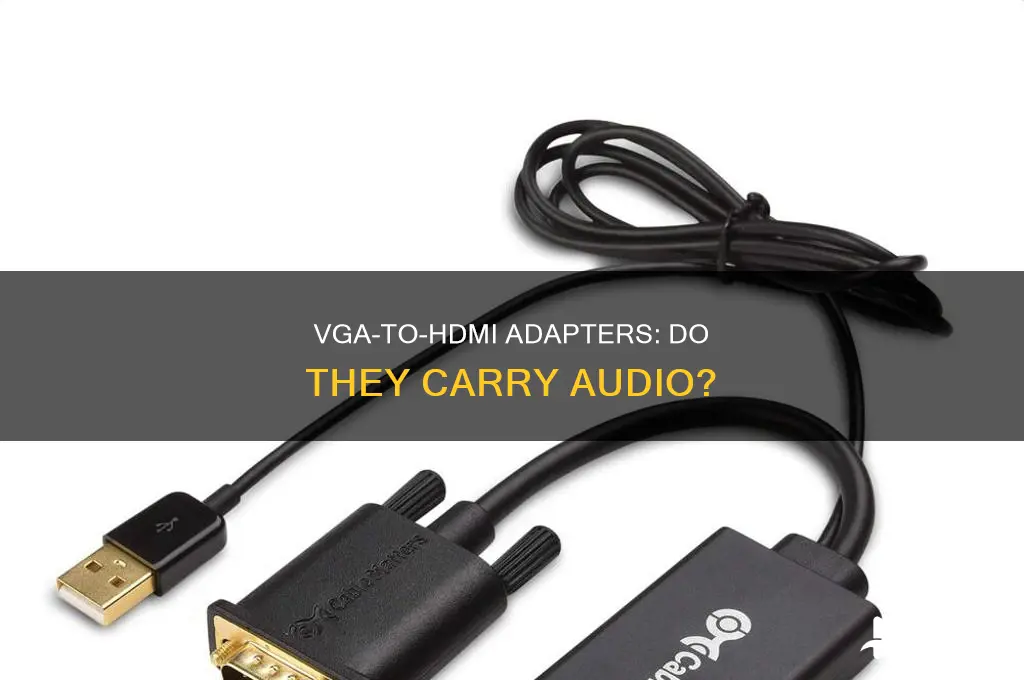 does vga hdmi adapters output sound