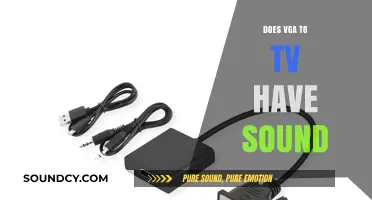 VGA-to-TV Audio: What's the Deal?
