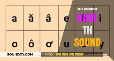 Does Vietnamese Have the 'Th' Sound? Exploring Phonetics and Pronunciation