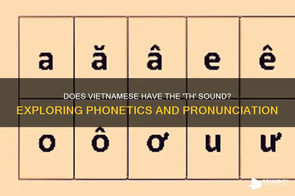 does vietnamese have th sound