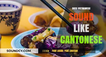 Does Vietnamese Sound Like Cantonese? Exploring Language Similarities and Differences