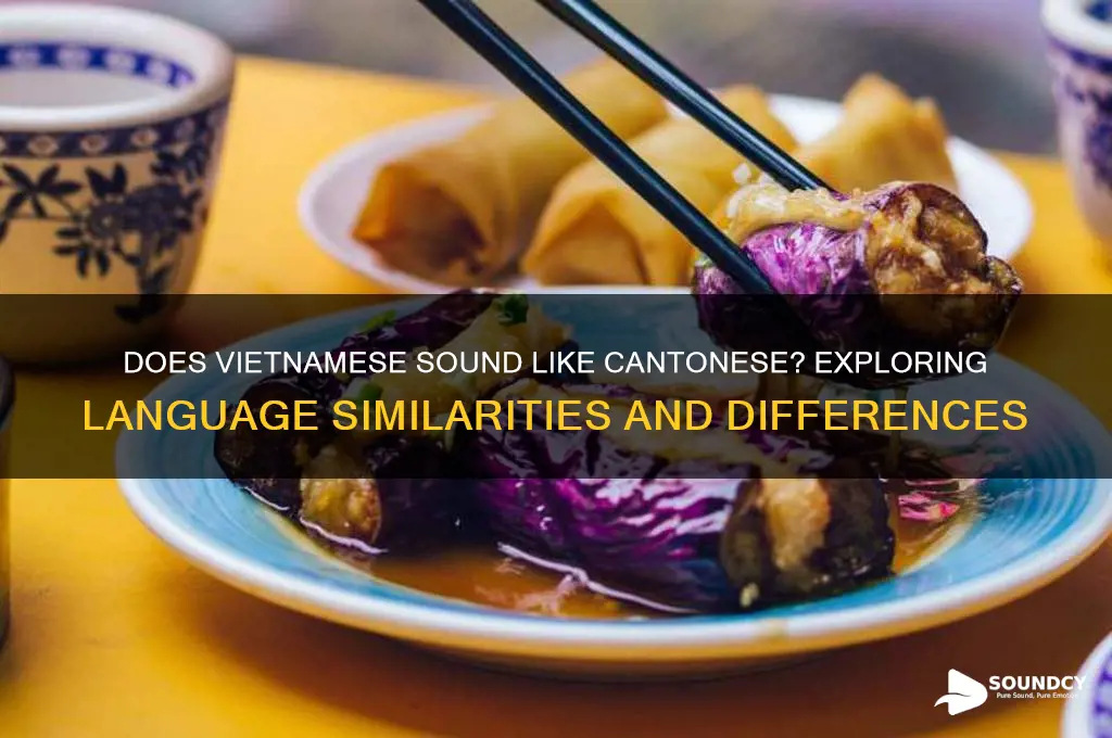 does vietnamese sound like cantonese