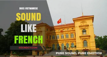 Does Vietnamese Sound Like French? Exploring Linguistic Similarities and Influences