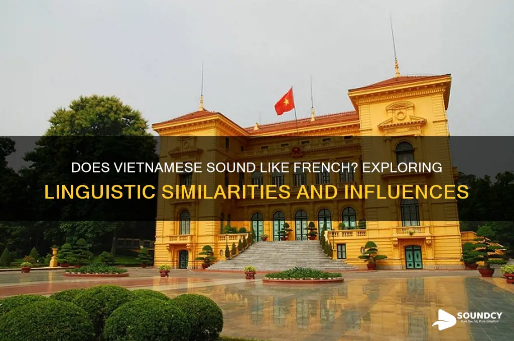 does vietnamese sound like french