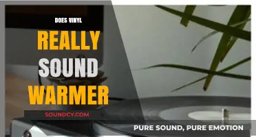 Does Vinyl Truly Deliver a Warmer Sound Experience?