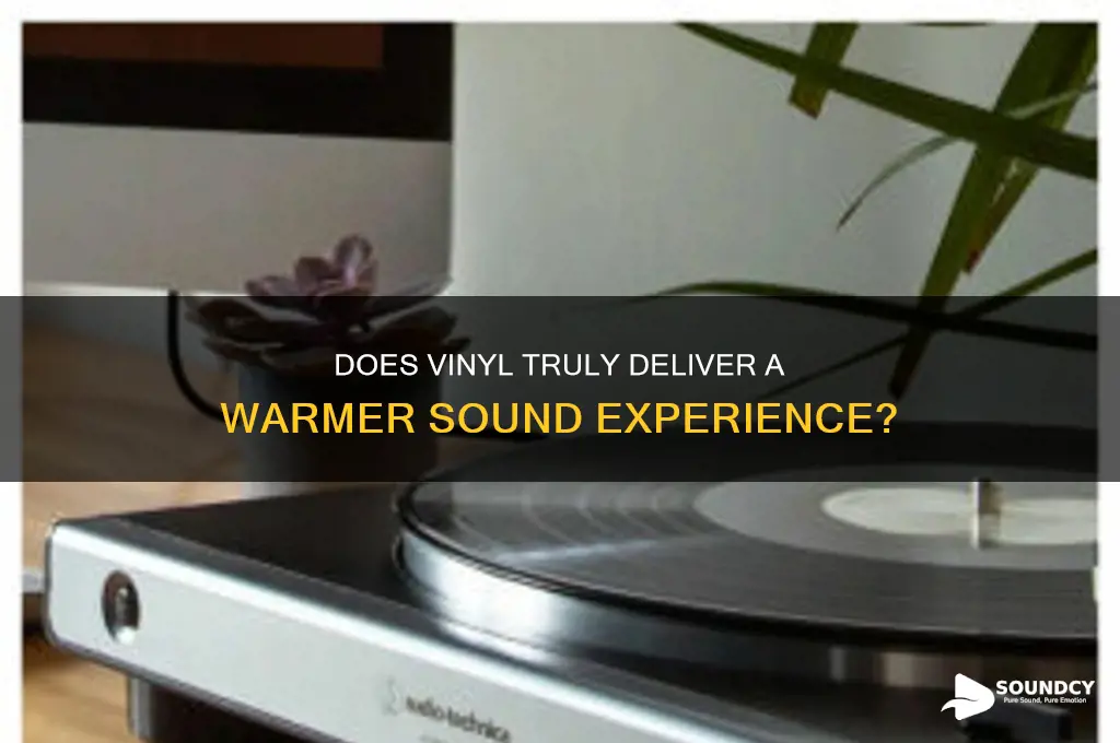 does vinyl really sound warmer