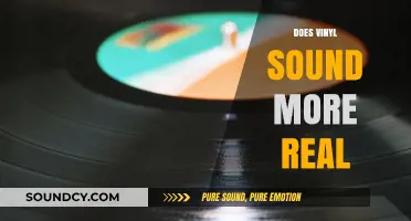 Does Vinyl Sound More Real? Exploring the Audio Authenticity Debate