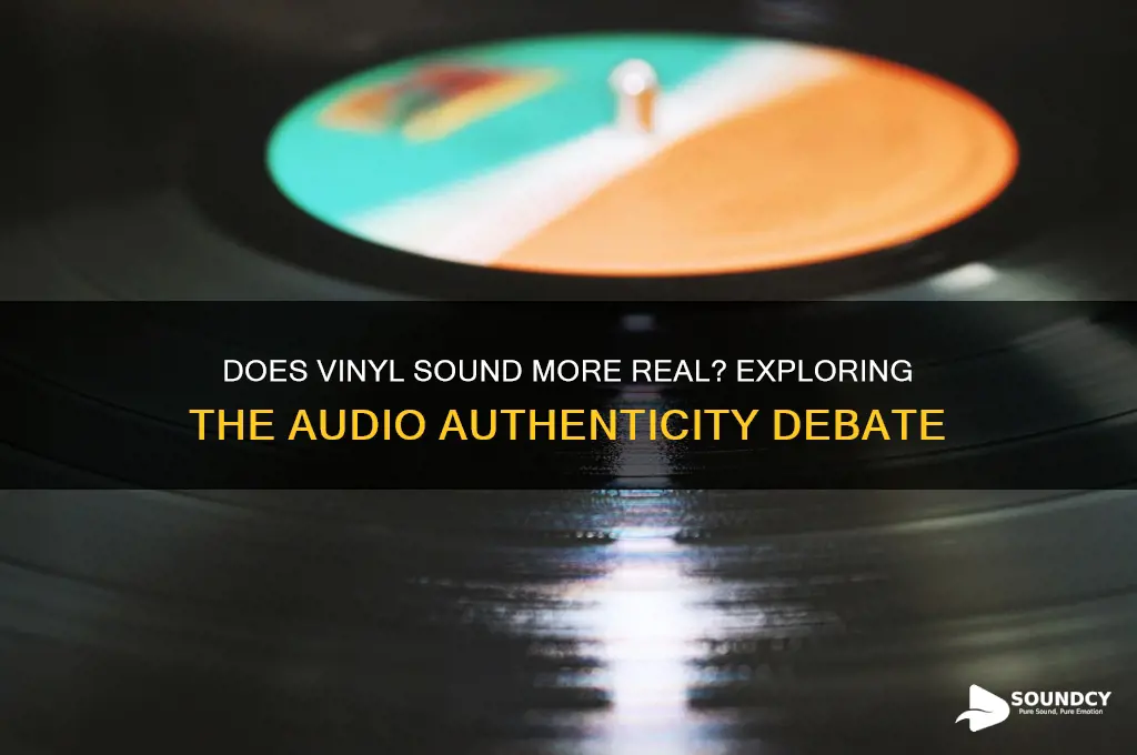 does vinyl sound more real