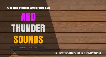 Vivid Weathers: Interior Rain and Thunder Sounds Explored