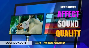 Does VoiceMeter Impact Audio Quality? A Comprehensive Analysis