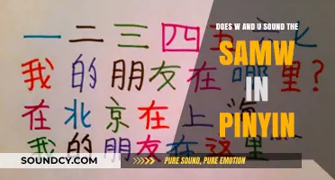 W and U in Pinyin: Are They Pronounced the Same? Exploring Chinese Phonetics