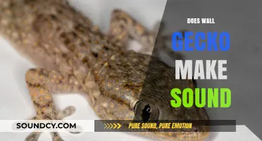 Do Wall Geckos Make Sounds? Exploring Their Vocal Abilities
